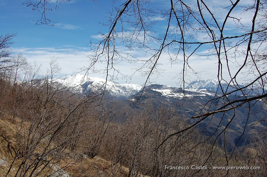 08 Alben e Menna dietro gli alberi.jpg